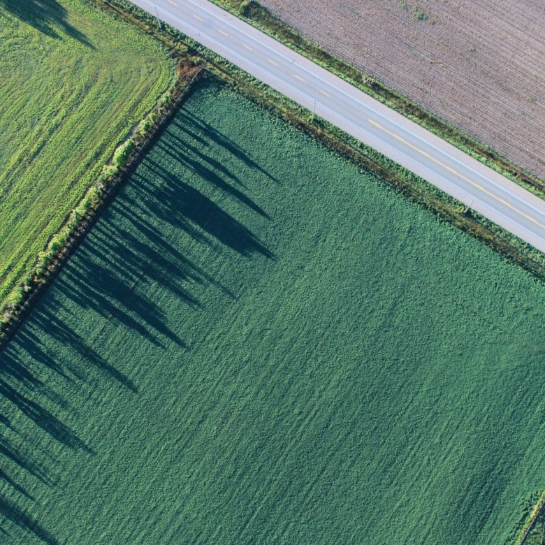 Investicija į žemės sklypus – saugumas, stabilumas ir ilgalaikė vertė