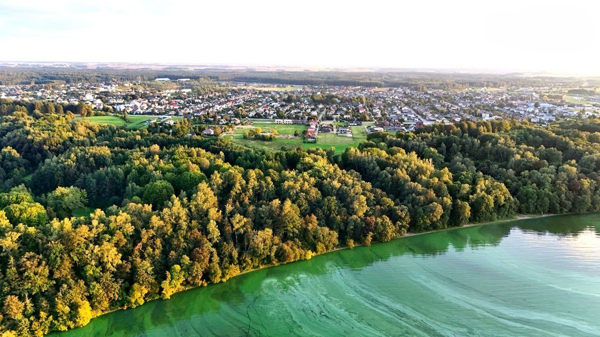 kaunas-vaisvydava-piliuonos-g (2)