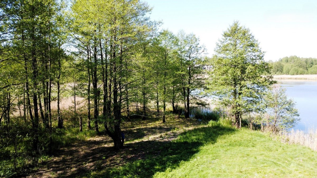 lazdiju-r-sav-papalazdiju-ii-k (3)