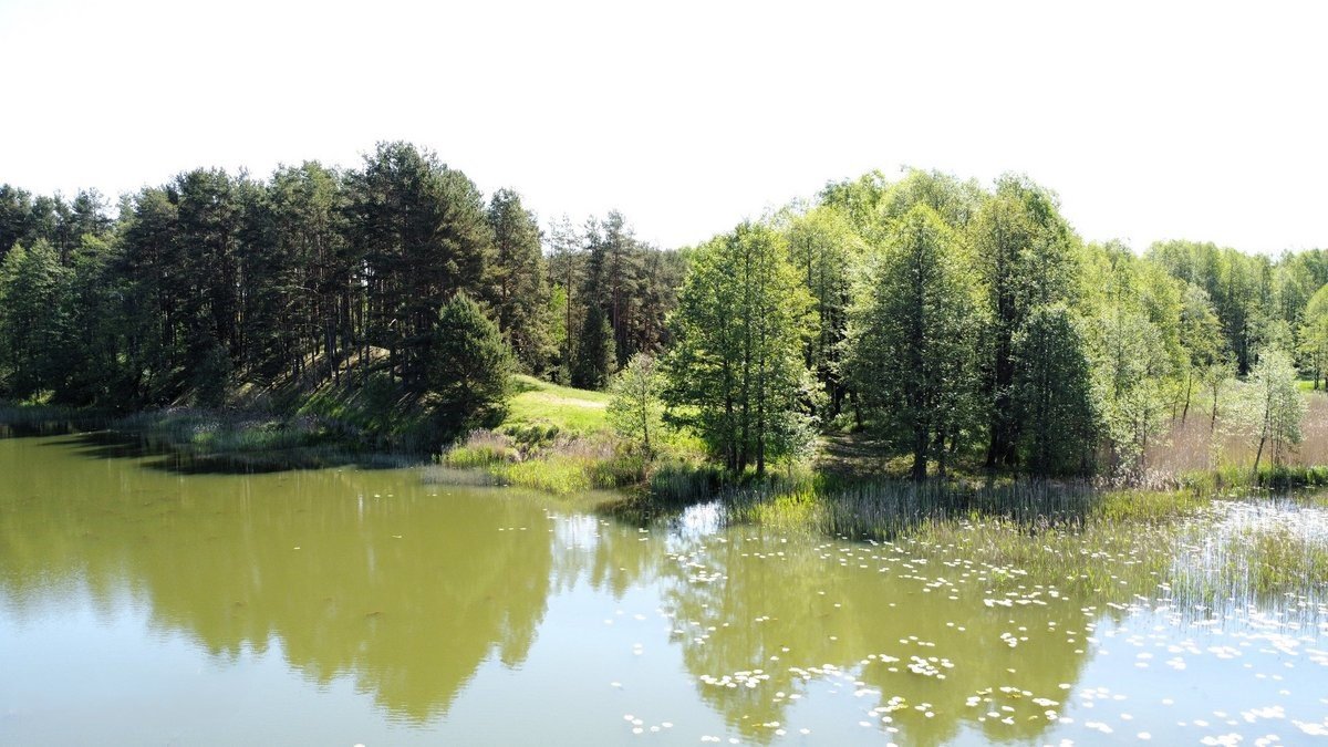 lazdiju-r-sav-papalazdiju-ii-k (4)