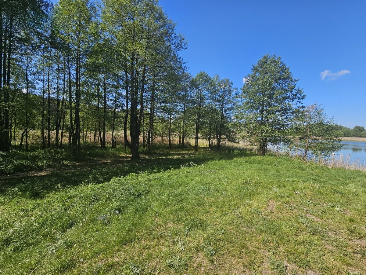 lazdiju-r-sav-papalazdiju-ii-k (6)