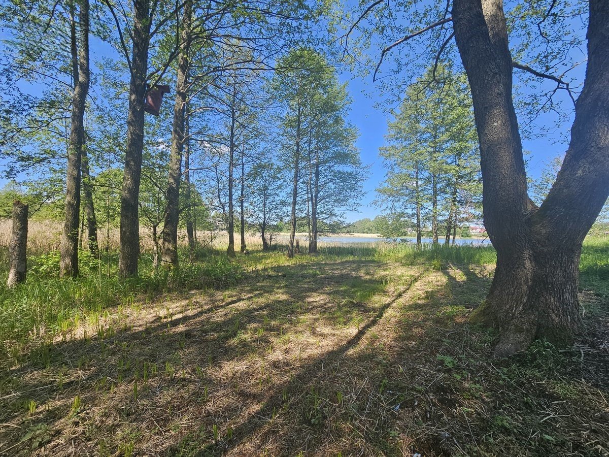 lazdiju-r-sav-papalazdiju-ii-k (7)