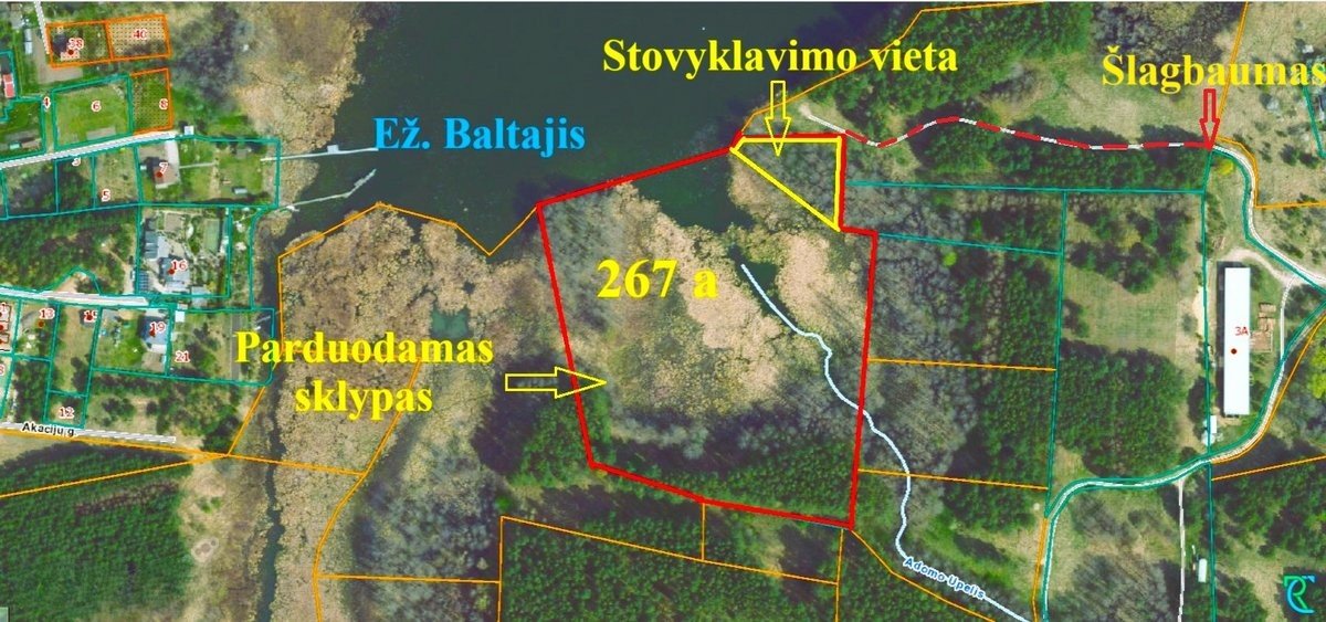 lazdiju-r-sav-papalazdiju-ii-k (8)