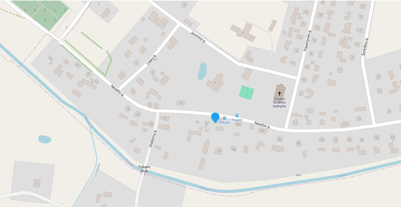 namas-rastinis-traupis