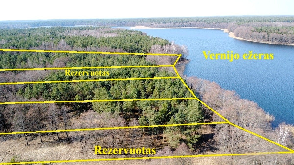 lazdiju-r-sav-radviloniu-k-radviloniu-g (15)