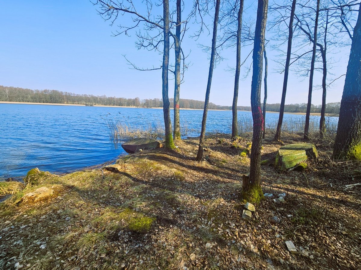 lazdiju-r-sav-radviloniu-k-radviloniu-g (2)