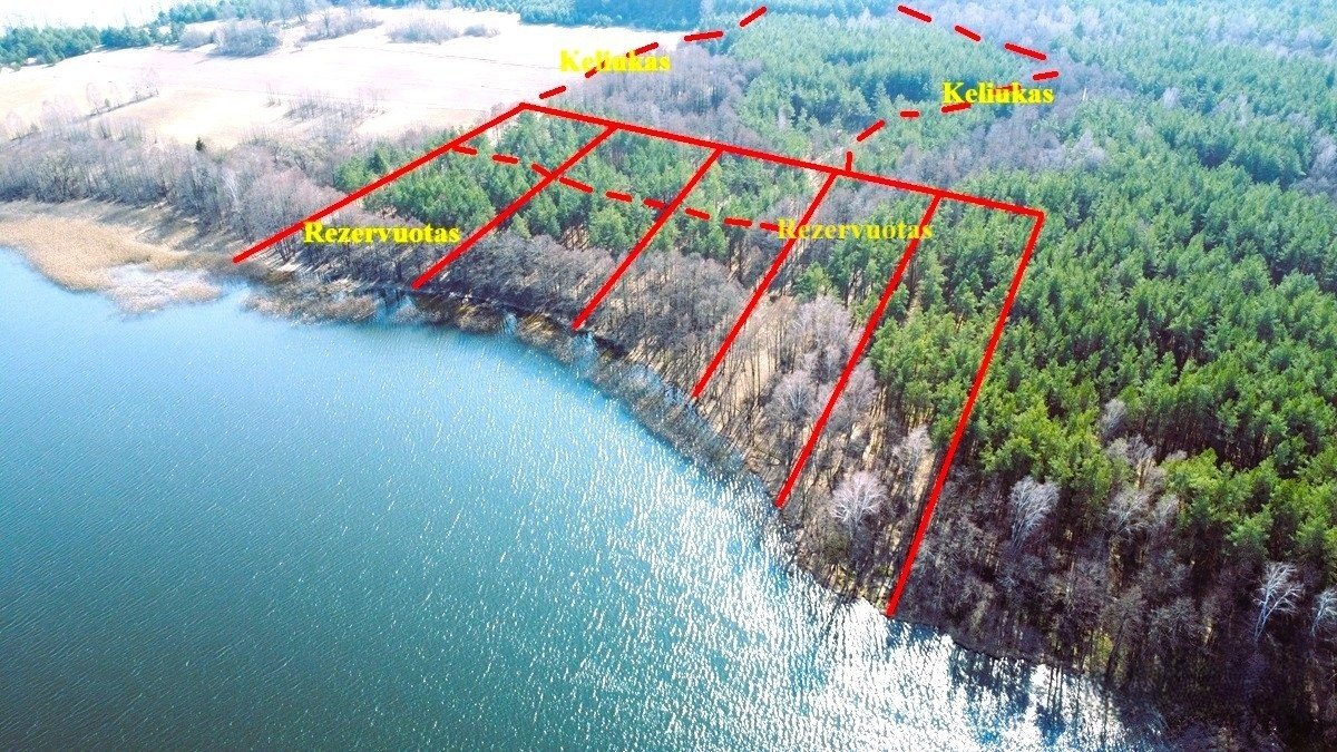 lazdiju-r-sav-radviloniu-k-radviloniu-g (3)