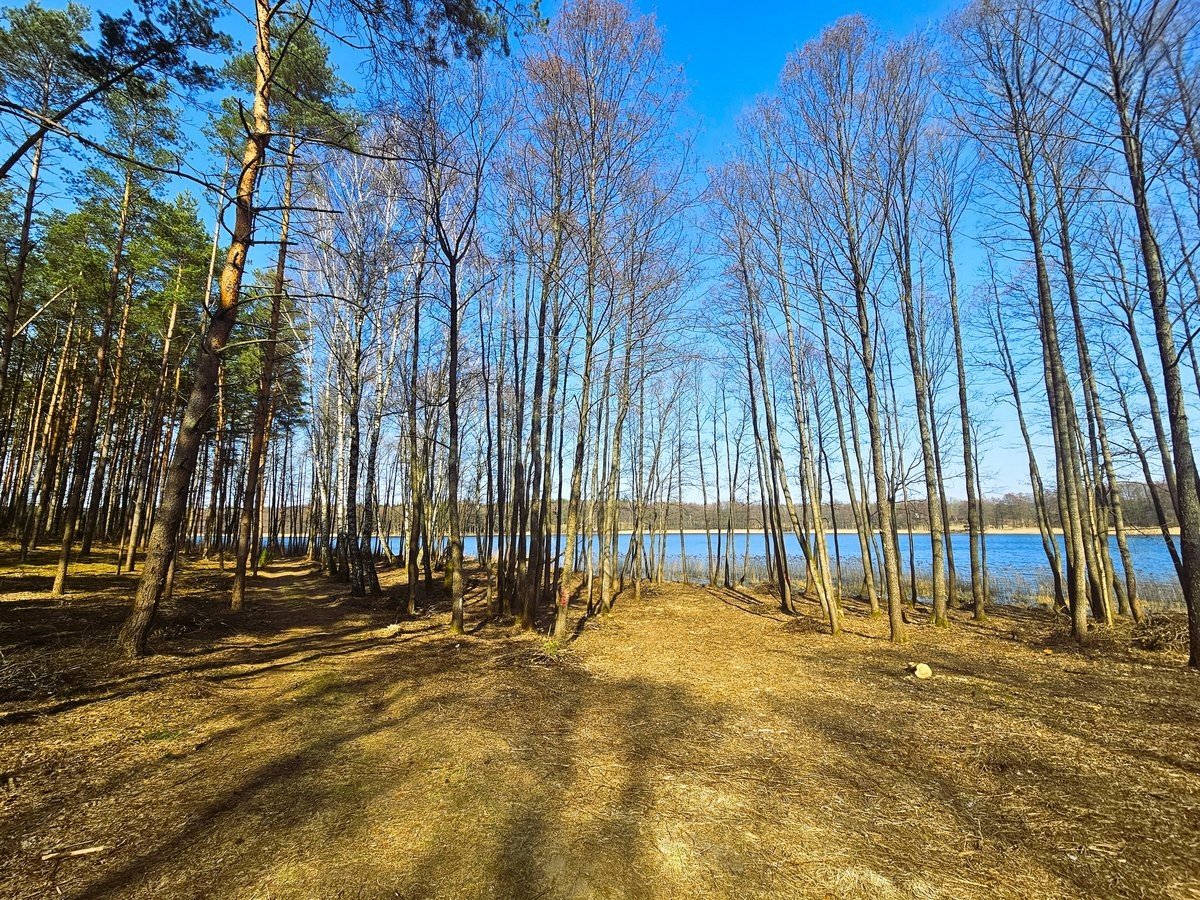 lazdiju-r-sav-radviloniu-k-radviloniu-g (5)