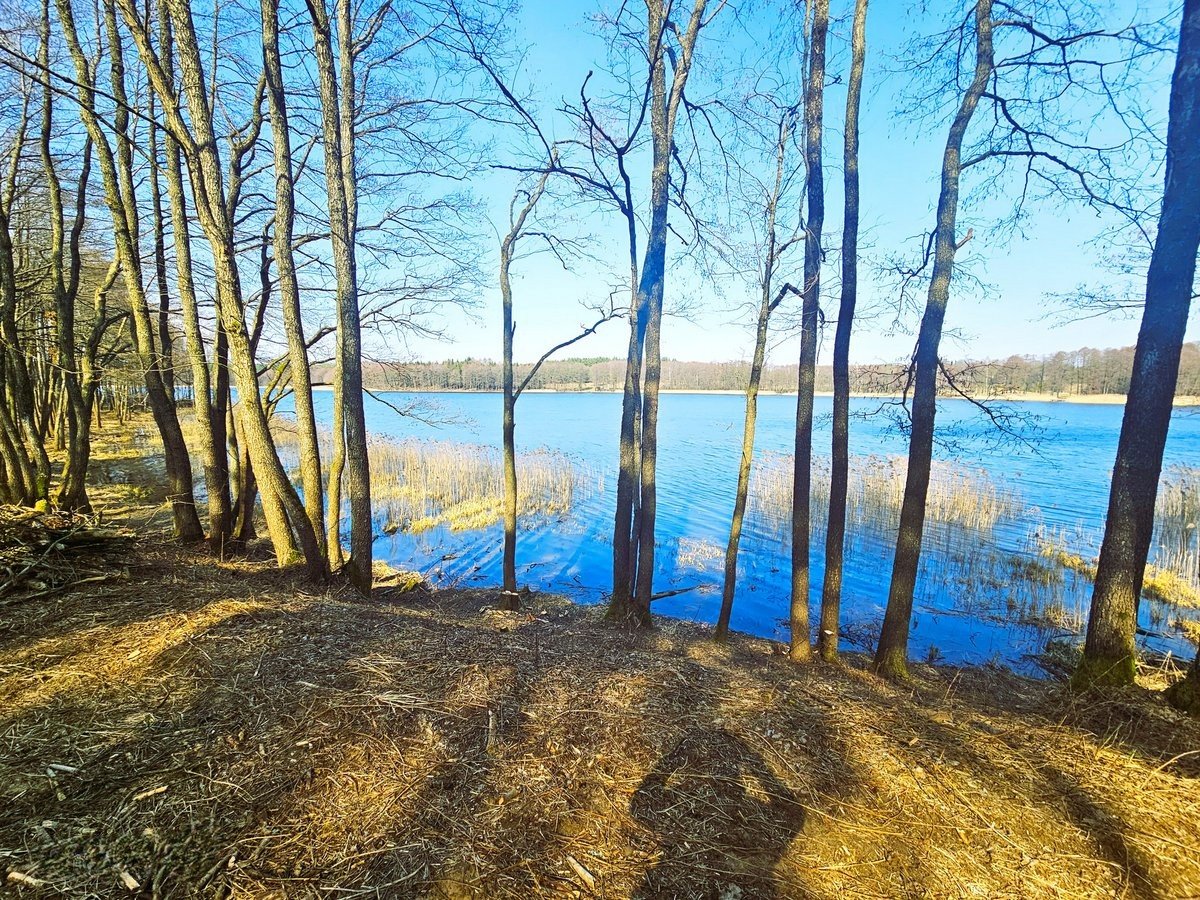 lazdiju-r-sav-radviloniu-k-radviloniu-g (6)