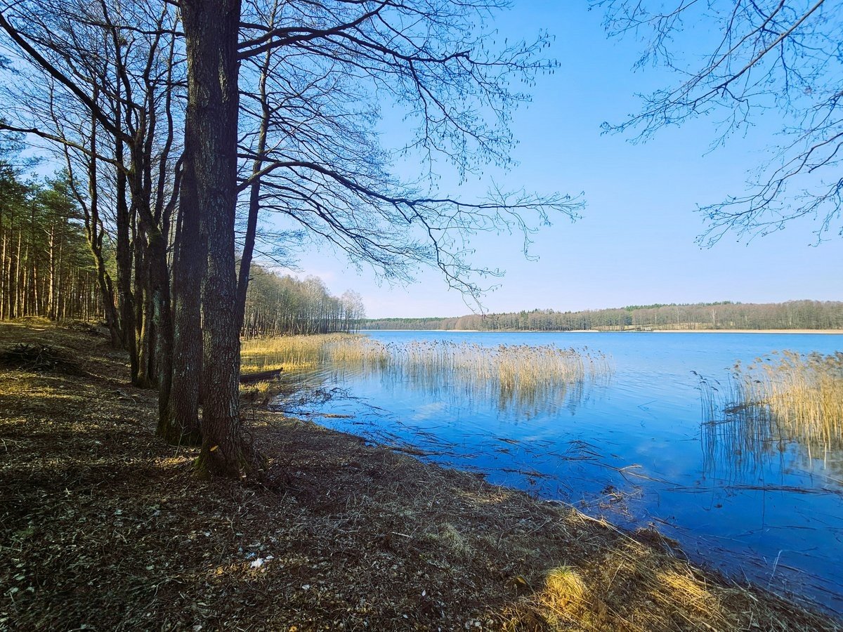 lazdiju-r-sav-radviloniu-k-radviloniu-g (8)